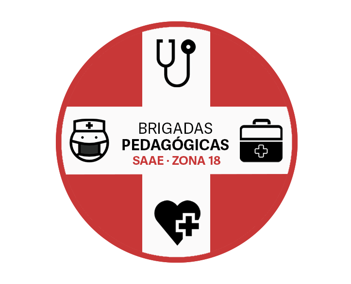 Brigadas Pedag��gicas