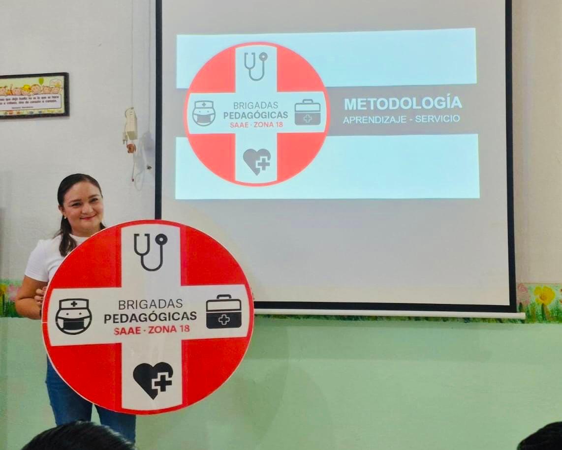 Proyecto "Brigadas Pedagógicas"